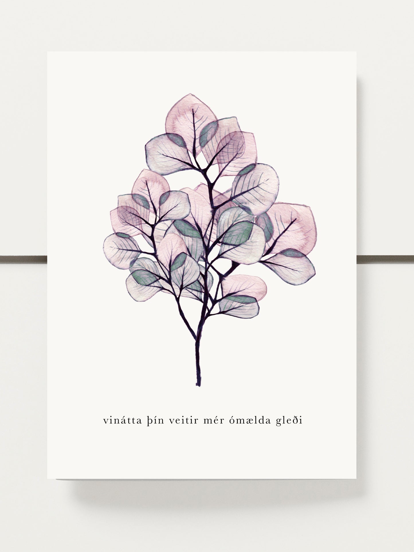 02 - ,,Vinátta þín veitir mér ómælda gleði"