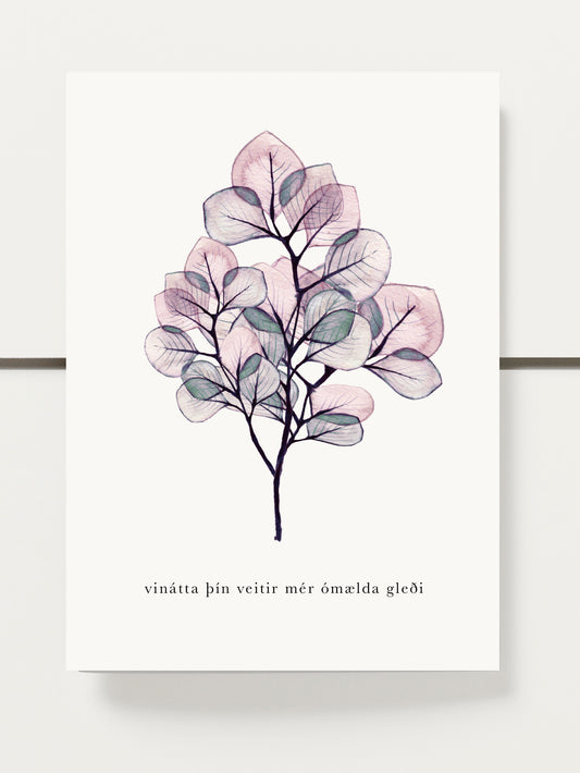 02 - ,,Vinátta þín veitir mér ómælda gleði"