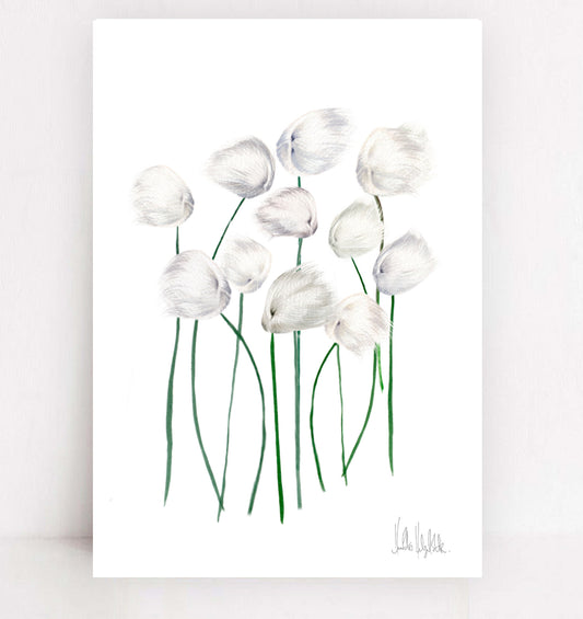 h r a f n a f í f a