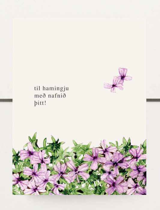 17 - ,,til hamingju með nafnið þitt"