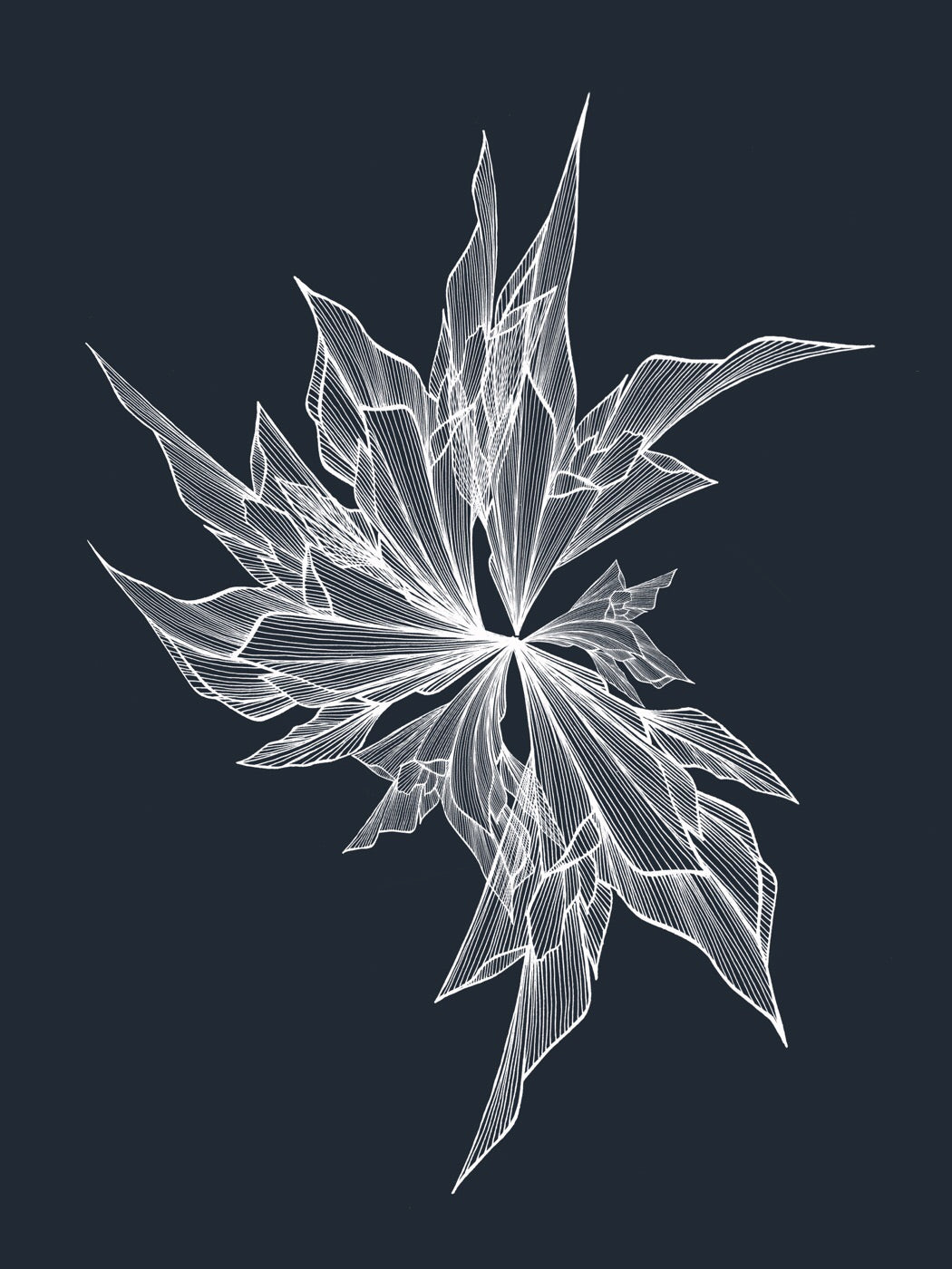 050