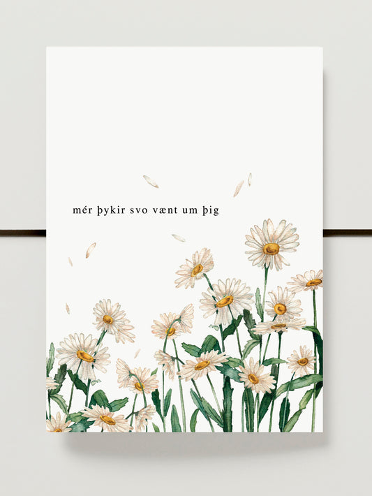 16 - ,,Mér þykir svo vænt um þig"